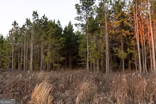 0 Hwy 26, Montrose, GA 31065 - Photo 1