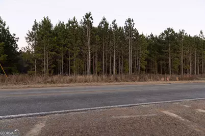 0 Highway 26, Montrose, GA 31065 - Photo 8