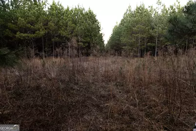 0 Highway 26, Montrose, GA 31065 - Photo 6