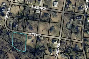 0 Grove St, Royston, GA 30662 - Photo 1