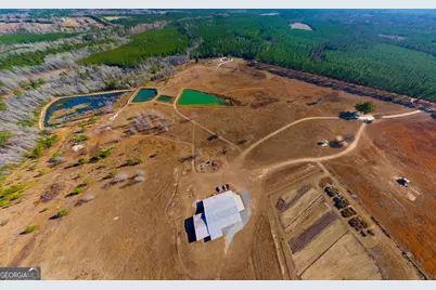 1039 Womack Road N, Garfield, GA 30425 - Photo 2