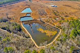 1039 Womack Road N, Garfield, GA 30425 - Photo 4