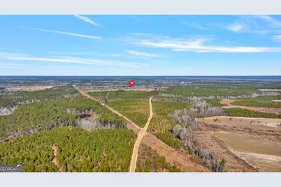 1039 Womack Road N, Garfield, GA 30425 - Photo 54