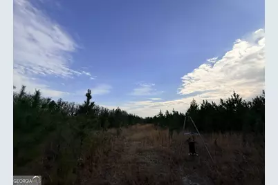 1 Dodges Chapel Road, Lumber City, GA 31549 - Photo 14