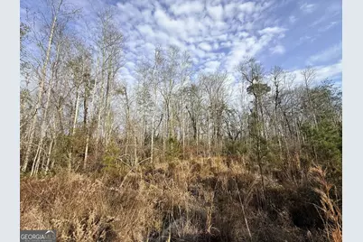 1 Dodges Chapel Road, Lumber City, GA 31549 - Photo 16