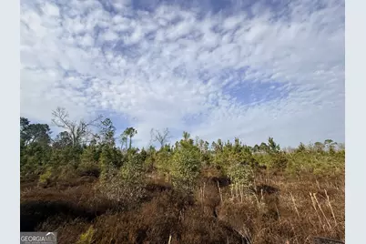 1 Dodges Chapel Road, Lumber City, GA 31549 - Photo 26