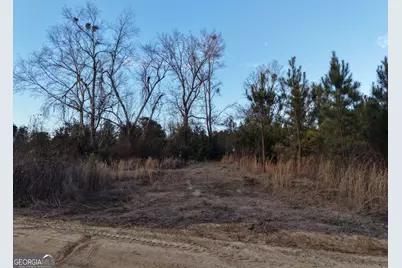 1 Dodges Chapel Road, Lumber City, GA 31549 - Photo 30