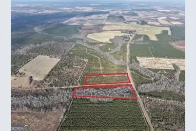 2 Powell School Road, Lumber City, GA 31549 - Photo 4