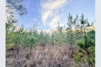 2 Powell School Road, Lumber City, GA 31549 - Photo 14