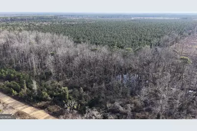 2 Powell School Road, Lumber City, GA 31549 - Photo 12