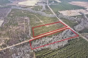 2 Powell School Rd, Lumber City, GA 31549 - Photo 1