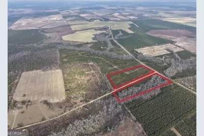 2 Powell School Road, Lumber City, GA 31549 - Photo 2