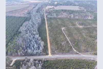 2 Powell School Road, Lumber City, GA 31549 - Photo 18