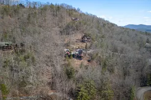 101 Falling Rock Road, Blue Ridge, GA 30513 - Photo 60