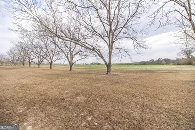 1920 Harvey Road, Abbeville, GA 31001 - Photo 36