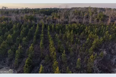 3 Powell School Rd, Lumber City, GA 31549 - Photo 14