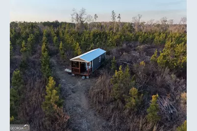 3 Powell School Rd, Lumber City, GA 31549 - Photo 12