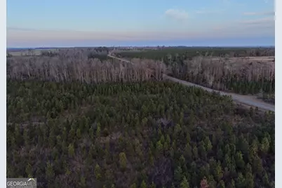 3 Powell School Rd, Lumber City, GA 31549 - Photo 22