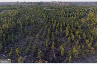 3 Powell School Rd, Lumber City, GA 31549 - Photo 18