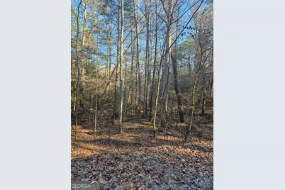 Lt 1620 Nexus Drive, Ellijay, GA 30540 - Photo 6