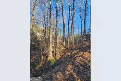 Lt 1620 Nexus Drive, Ellijay, GA 30540 - Photo 4