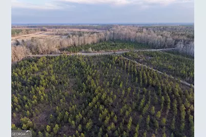 4 Powell School Road, Lumber City, GA 31549 - Photo 12