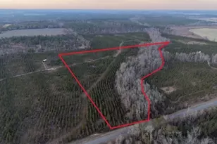 4 Powell School Rd, Lumber City, GA 31549 - Photo 1