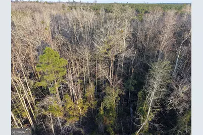 4 Powell School Road, Lumber City, GA 31549 - Photo 6