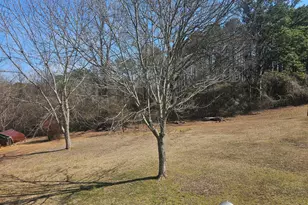 695 Frost Rd, Bowdon, GA 30108 - Photo 28