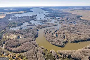 27 Bluegill Rd, Vienna, GA 31092 - Photo 56