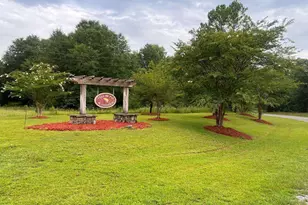 1217 Flathead Rd, Vienna, GA 31092 - Photo 6