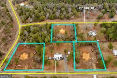 1217 Flathead Road, Vienna, GA 31092 - Photo 2