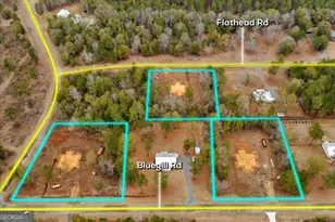 1217 Flathead Rd, Vienna, GA 31092 - Photo 2
