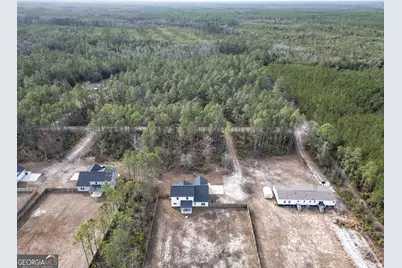 322 Peewee Drive, Ludowici, GA 31316 - Photo 2