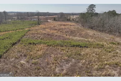 1221 Woodland Road, Jeffersonville, GA 31044 - Photo 2