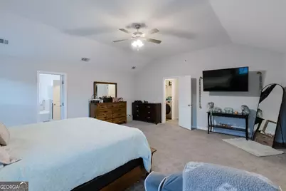 118 Loganberry Lane NE, Ludowici, GA 31316 - Photo 40