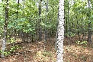 0 Lbk Rd, Tignall, GA 30668 - Photo 1