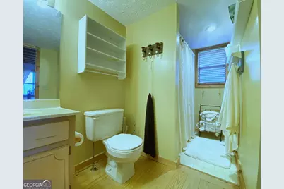 601 Skeenah Springs Road, Blairsville, GA 30512 - Photo 10