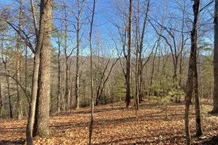 601 Skeenah Springs Rd, Blairsville, GA 30512 - Photo 30