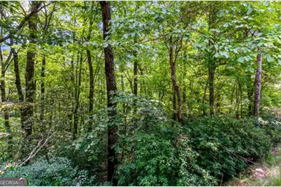 4.69 Ac Rockwater Road, Ellijay, GA 30536 - Photo 16