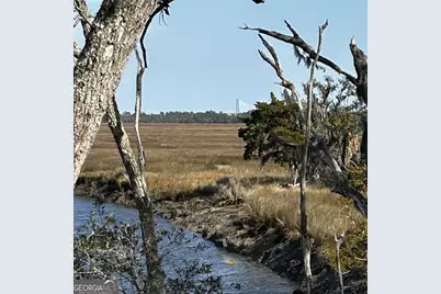 52 River View Court, Waverly, GA 31565 - Photo 12