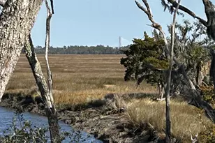 52 River View Ct, Waverly, GA 31565 - Photo 12