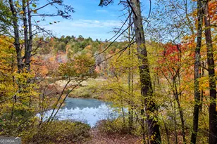 4057 Whitepath Rd, Ellijay, GA 30540 - Photo 26
