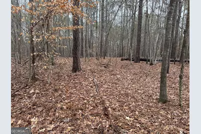 0 Thomas Drive, Eatonton, GA 31024 - Photo 4