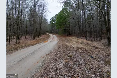44.61 Acres Arnold Caldwell Road, Carlton, GA 30627 - Photo 12