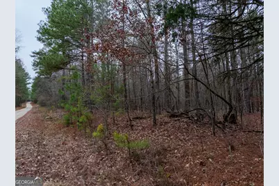 44.61 Acres Arnold Caldwell Road, Carlton, GA 30627 - Photo 10