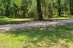 0 Annie Holt Rd, Glennville, GA 30427 - Photo 6