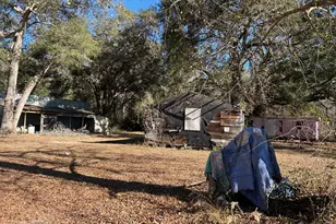 0 Annie Holt Rd, Glennville, GA 30427 - Photo 8