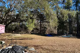 0 Annie Holt Rd, Glennville, GA 30427 - Photo 14