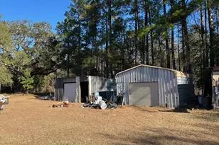 0 Annie Holt Rd, Glennville, GA 30427 - Photo 6